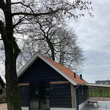 Bed & Breakfast De Rheebok 3*