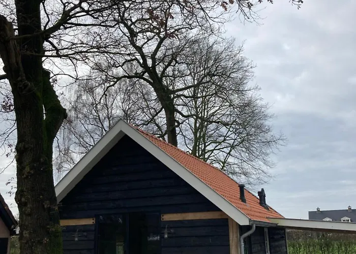 Bed & Breakfast De Rheebok 3*